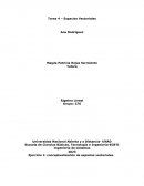 Espacios Vectoriales. Algebra Lineal