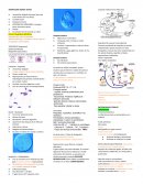 Toxoplasma gondii: gatos