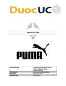 Análisis de Puma