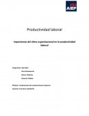 Productividad laboral, importancia del clima organizacional en la productividad laboral