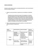 Modelos universitarios