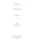 De las Normas Rectoras de La Ley Penal colombiana