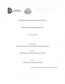 Tipo de datos de un lenguaje de programación