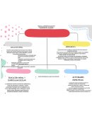 Bases para un curriculum de educación moral