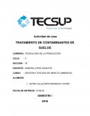 Tratamiento de contaminantes de suelos