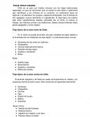 Trajes tipicos de Chile