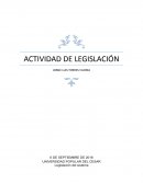 Actividad Legislación