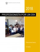 Entrevista a un profesionista