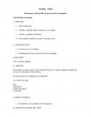 Pautas para el desarrollo del proyecto de investigación