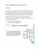 Investigación del PVC del Frame Relay y de VLAN