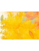 Sistema de toma de decisiones dentro de la organización trabajada