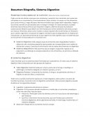 Resumen sobre el Sistema Digestivo
