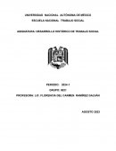 Desarrollo histórico de trabajo social
