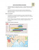 Guía de estudio primeras civilizaciones