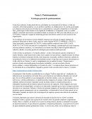 Estrategia general de posicionamiento