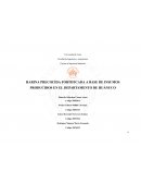 Ingeniería Económica empresa NutriRiwi S.A.C