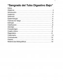Sangrado del Tubo Digestivo Bajo