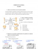 Resumen examen morfología general