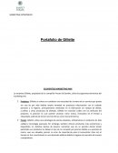 Marketing estratégico. Portafolio de Gillette