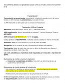 Biología celular. Traducción: ARN a Proteína