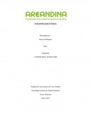 Área organizacional del puesto. Asesor comercial