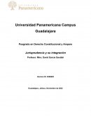 Jurisprudencia y su integración