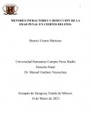 Menores infractores y reducción de la edad penal en ciertos delitos