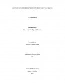 Diseño de una red de distribución de un sector urbano