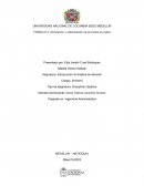 Simulación y optimización de anuncios en redes