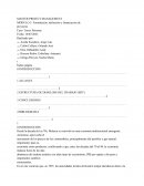 Formulación, definición y financiación de proyectos. Caso: Torres Petronas