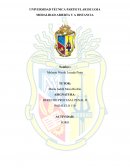 Reflexion sobre el sistema procesal