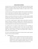 Cadena de Valor Caso Telepizza