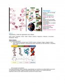 Resumen clase Fisiología