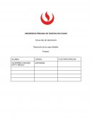 Trabajo de caso Bellaflor