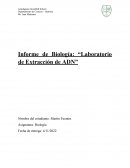 Informe de laboratorio extraccion de ADN