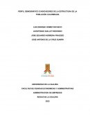 Perfil demográfico e indicadores de la estructura de la población colombiana