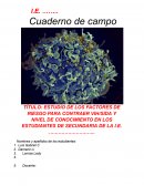 Estudio de los factores de riesgo para contraer VIH/SIDA y nivel de conocimiento en los estudiantes de secundaria de la I.E