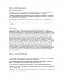 Sistema fisico ambiental