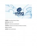 Importancia de las áreas funcionales de la empresa