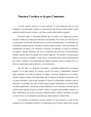 Ensayo nuestro cerebro es lo que comemos