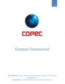Formulacion de proyectos Empresa Copec S.A