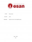 Análisis microeconómico del mercado snacks de papa