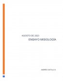 La importancia de la misiología para una correcta evangelización en la iglesia local