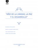 Informe de comportamiento delictivo