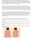 Afectaciones del sistema locomotor en escenarios escolares