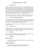 Informe filtro de agua casero