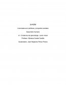 Tres teorías del juicio moral