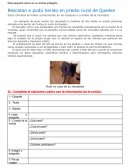 Prueba de lenguaje y comunicación (noticia y biografía)