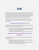 FSH - LH - Gonodotropina