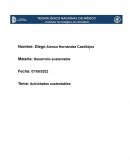 Actividades sustentables en la institución